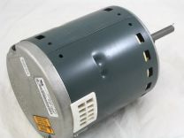 HD46AE224.JPG